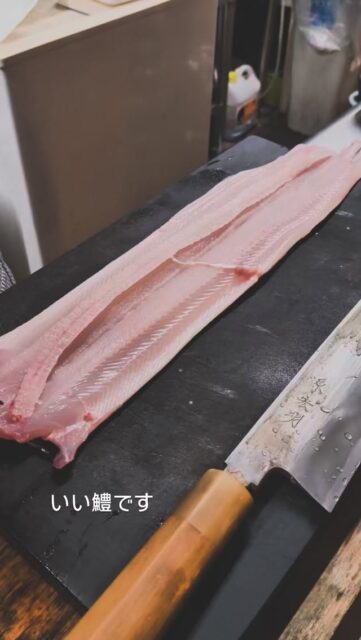 本日も良い鱧が入ってます
大分のものですね

当店では骨切りした鱧の皮目を炙ったお造りで提供してます
酢橘と山葵、塩で召し上がって頂きます

20年くらい前からこのスタイルでやってますが
昔は鱧をやってる店は静岡には少なかったですね
あっても落としで梅肉でした

さて本日はキャンセルが出たためテーブル席に空きがあります
まだご予定がお決まりでない方は是非、こはくまでお越しください🙇
宜しくお願い致します

#旬彩こはく
#静岡和食
#静岡ディナー
#静岡グルメ
#鱧